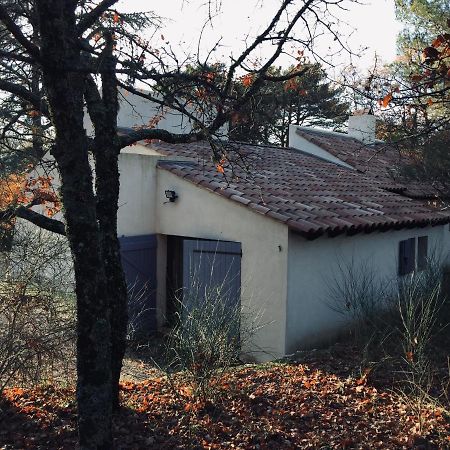 La Maison De Mado Et Sa Cabane Dans Les Arbres Plan d'Aups Buitenkant foto