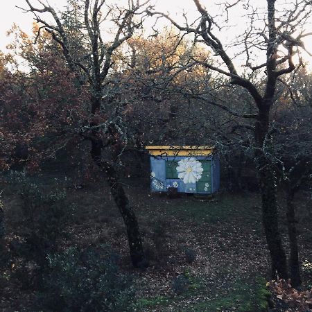La Maison De Mado Et Sa Cabane Dans Les Arbres Plan d'Aups Buitenkant foto