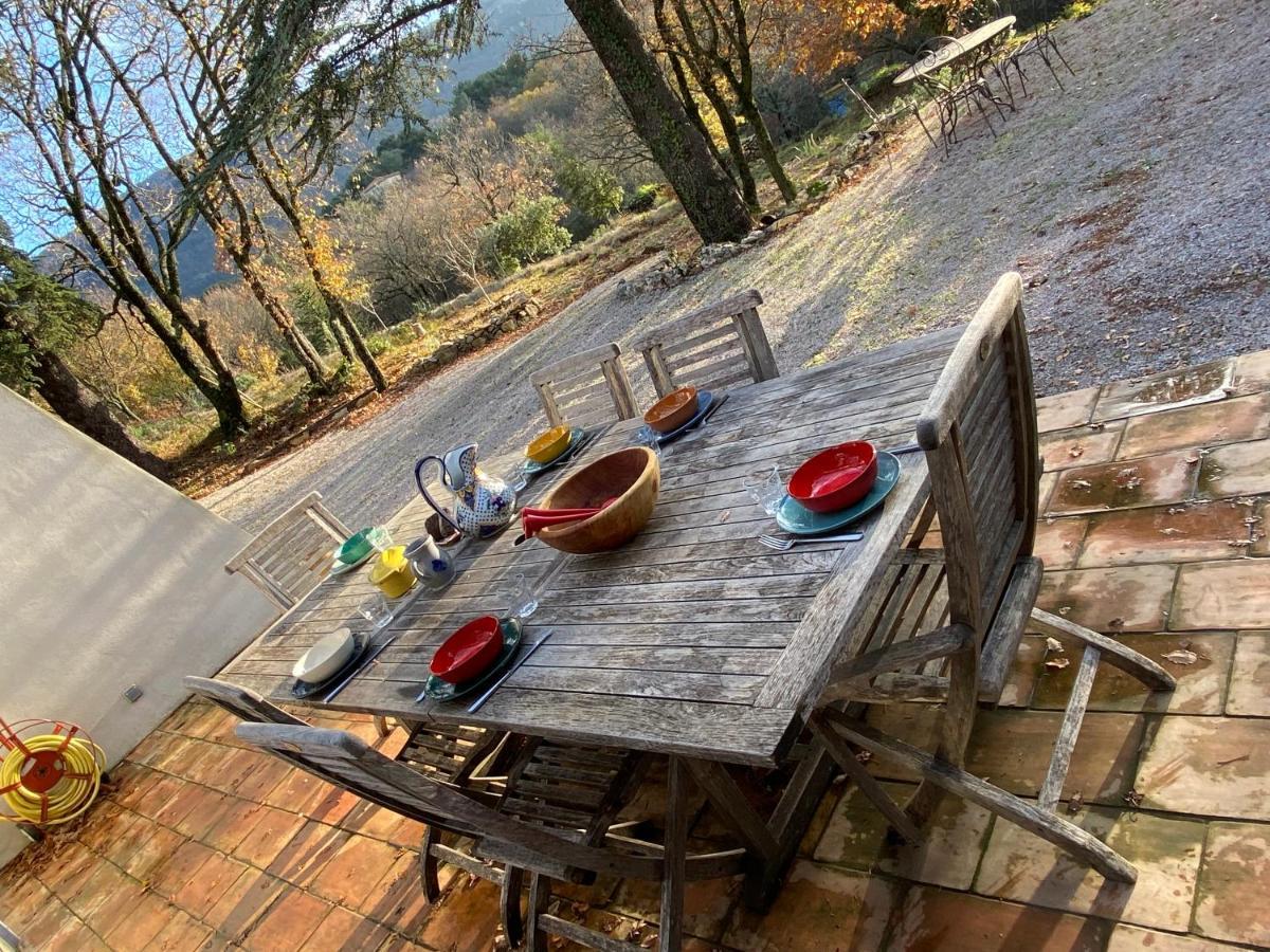 La Maison De Mado Et Sa Cabane Dans Les Arbres Plan d'Aups Buitenkant foto