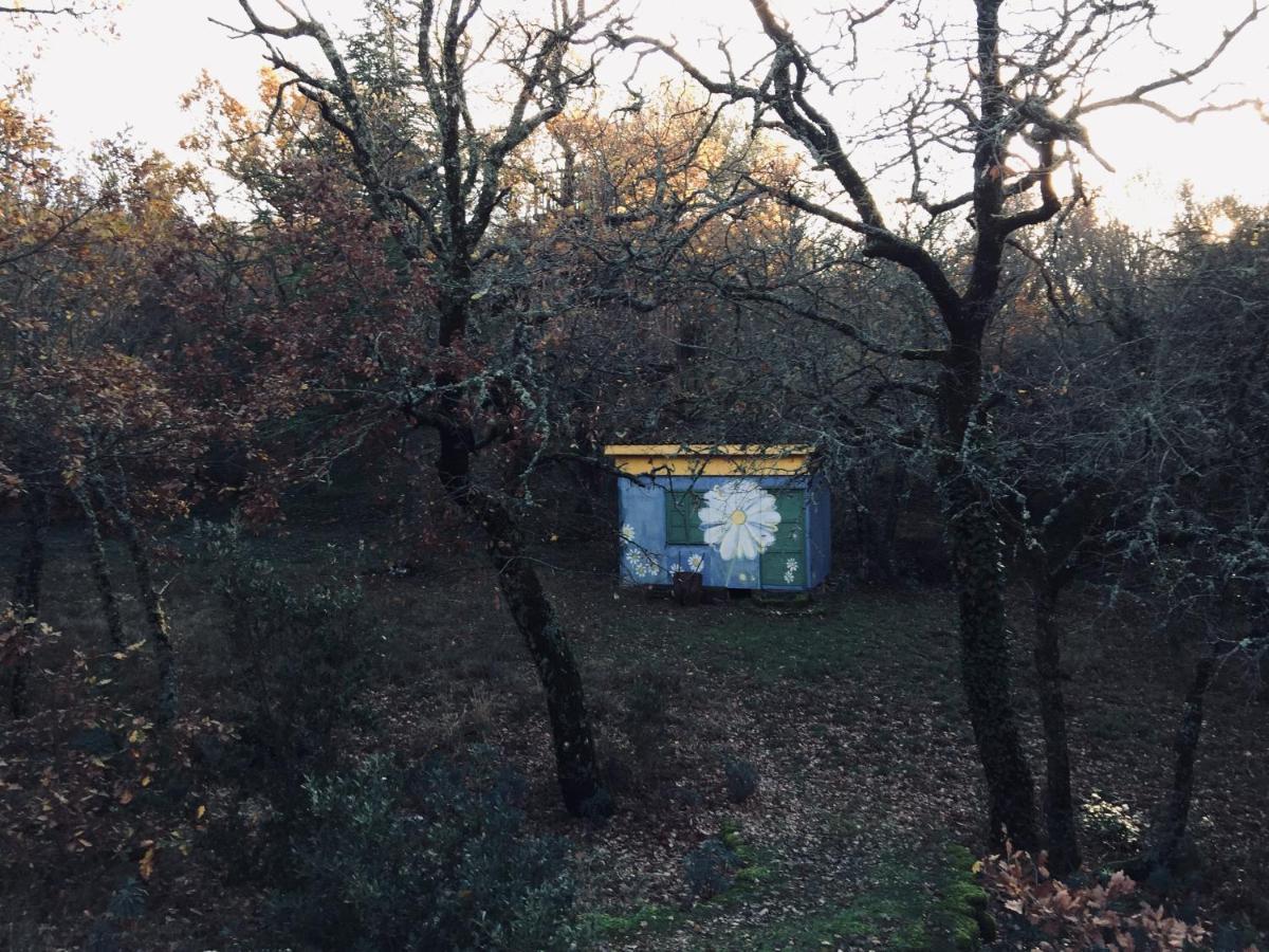 La Maison De Mado Et Sa Cabane Dans Les Arbres Plan d'Aups Buitenkant foto