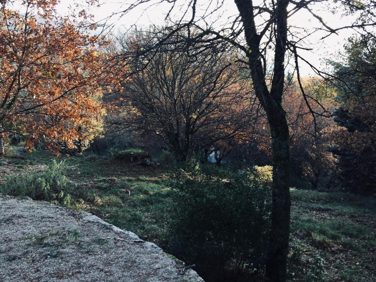 La Maison De Mado Et Sa Cabane Dans Les Arbres Plan d'Aups Buitenkant foto
