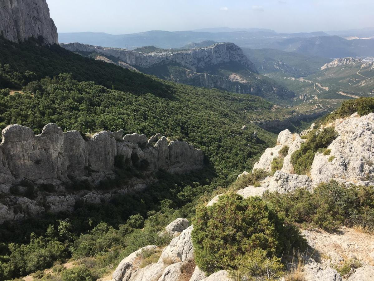 La Maison De Mado Et Sa Cabane Dans Les Arbres Plan d'Aups Buitenkant foto