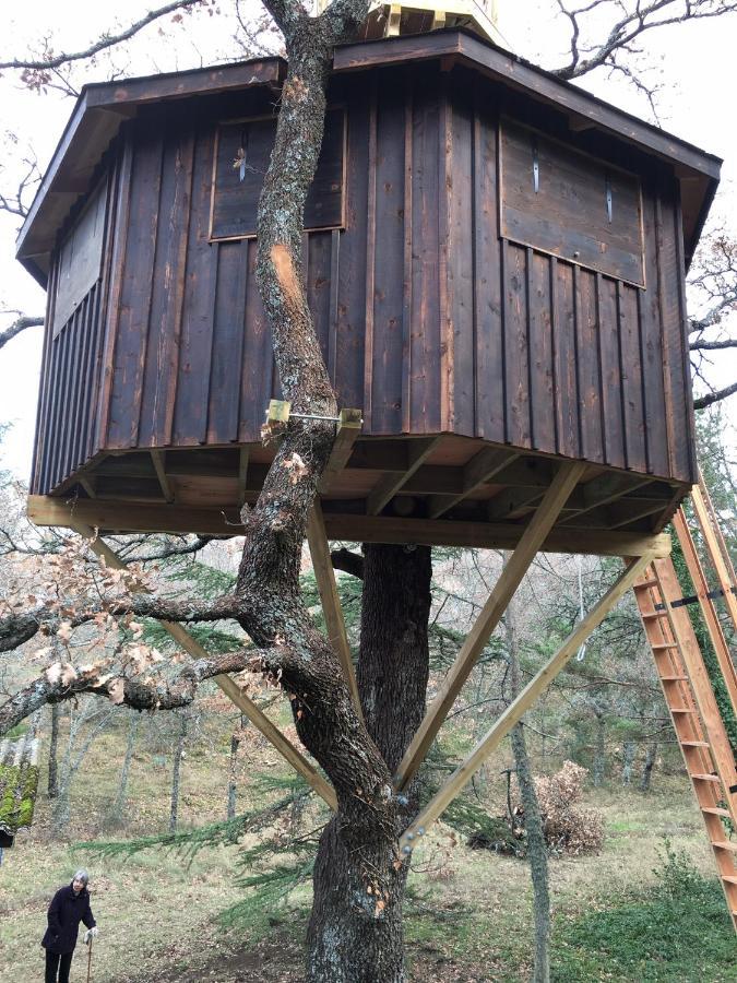 La Maison De Mado Et Sa Cabane Dans Les Arbres Plan d'Aups Buitenkant foto